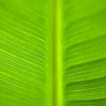 textile reciclyng